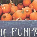 Here’s the scoop on cooking and baking with pumpkin pie pumpkins in crate