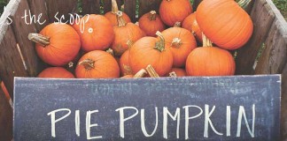 pie pumpkins in crate