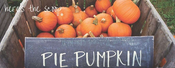 pie pumpkins in crate