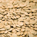 pumpkin seeds