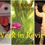 Week in Review 10/10