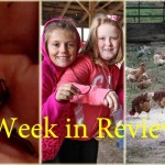 Farm and Dairy’s week in review: 10/17 Week in review: 10/17
