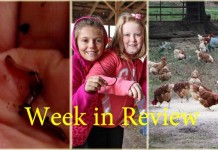 Farm and Dairy’s week in review: 10/17 Week in review: 10/17