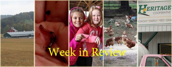 Week in review: 10/17 Week in review: 10/17