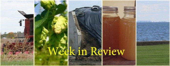Week in Review 10/24 collage