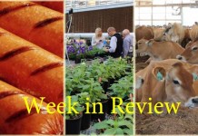 Farm and Dairy’s week in review: 10/31 Week in Review 10/31