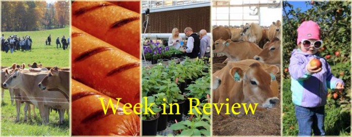 Week in Review 10/31 Week in Review 10/31