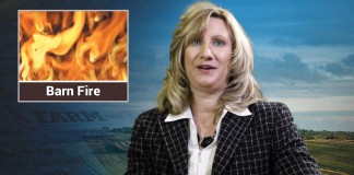 Farm and Dairy’s Field Notes: Episode 3