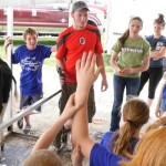 The greatest harvest may be the next generation in agriculture DairyPalooza cow clipping
