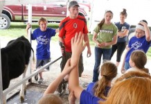 The greatest harvest may be the next generation in agriculture DairyPalooza cow clipping