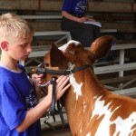 DairyPalooza_Boy & cow