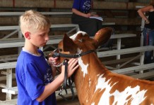 DairyPalooza promotes life skills DairyPalooza