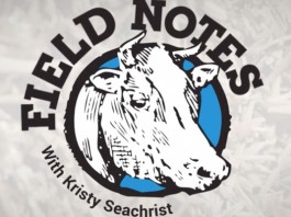 Field Notes video series survey Field Notes