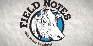 Field Notes video series survey Field Notes