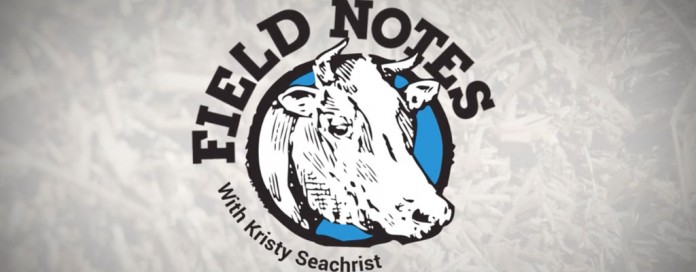 Field Notes Field Notes