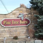 Pine Tree signage