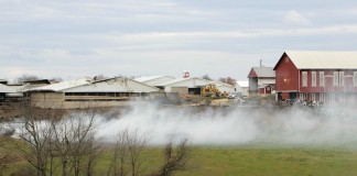 Loren and Barn Lang Farm