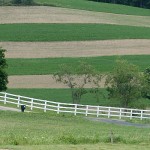 What to do in winter: Checklist to farm succession contour strips on Holmes County farm