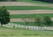 What to do in winter: Checklist to farm succession contour strips on Holmes County farm
