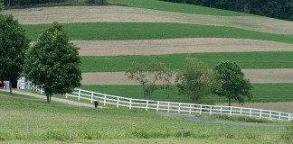 What to do in winter: Checklist to farm succession contour strips on Holmes County farm