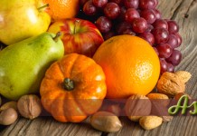 Ask Jen about nuts cornucopia