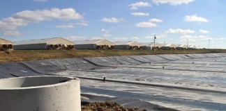 Hog manure could fuel your truck or car Covered Lagoon at Ruckman Farm