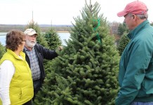 Dush family has made Pine Tree Barn a Christmas tree destination