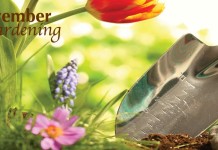 November’s gardening to-do list flowers and garden trowel