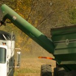 Grain harvest winds down to early finish unloading corn into semi