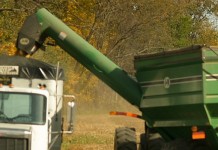 Grain harvest winds down to early finish unloading corn into semi