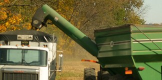 Grain harvest winds down to early finish unloading corn into semi