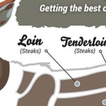 Venison cuts and uses (Infographic) venison graphic