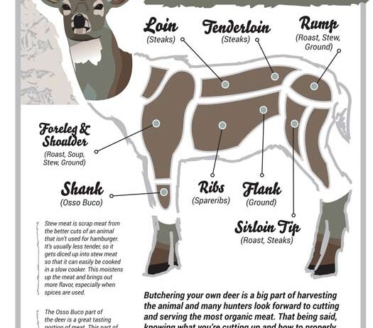 venison infographic venison infographic