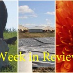 Farm and Dairy’s week in review: 11/14 Week in Review 11/14 collage