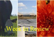 Farm and Dairy’s week in review: 11/14 Week in Review 11/14 collage