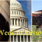 Farm and Dairy’s week in review: 11/7 Collage of this week's top stories