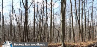 Farm and Dairy’s Field Notes: Episode 5