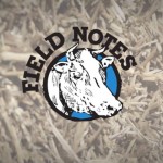 The top 5 stories of 2015