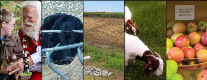 5 stories collage for Jan. 2, 2016 5 stories collage for Jan. 2, 2016