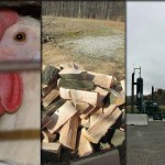 5 stories farmers read this week: Dec. 12 5 top stories collage for Dec. 12, 2015