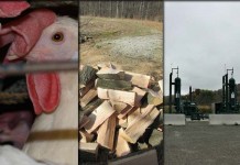 5 stories farmers read this week: Dec. 12 5 top stories collage for Dec. 12, 2015