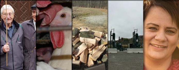 5 top stories collage for Dec. 12, 2015 5 top stories collage for Dec. 12, 2015