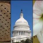 5 stories farmers read this week: Dec. 26 5 stories collage for Dec. 26, 2015