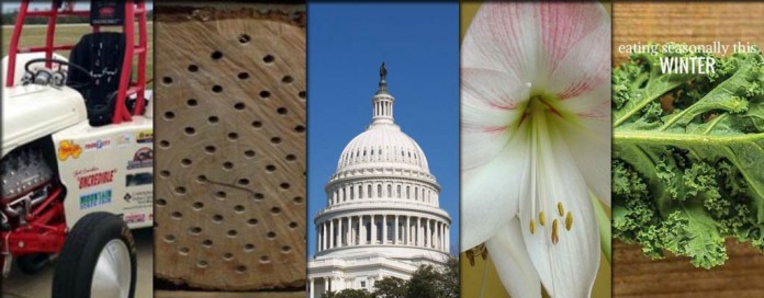 5 stories collage for Dec. 26, 2015 5 stories collage for Dec. 26, 2015