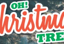 11 Christmas tree facts you may not know (Infographic) Christmas trees header