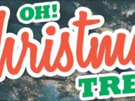 Christmas trees header