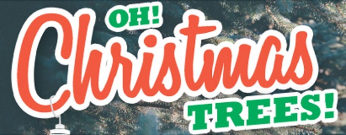 Christmas trees header