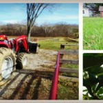 Part I: Making effective New Year’s resolutions for the farm Dickie Bird Farm collage