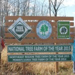 Beckets Run Woodlands2