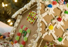 Find the magic in every day